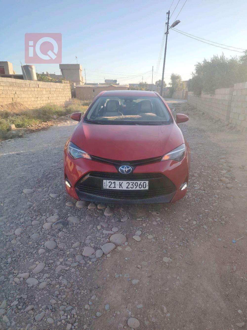 Toyota Corolla